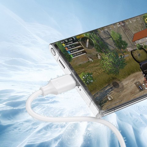 Kabel przewód USB-C - USB-C 480Mb/s 60W 1m biały