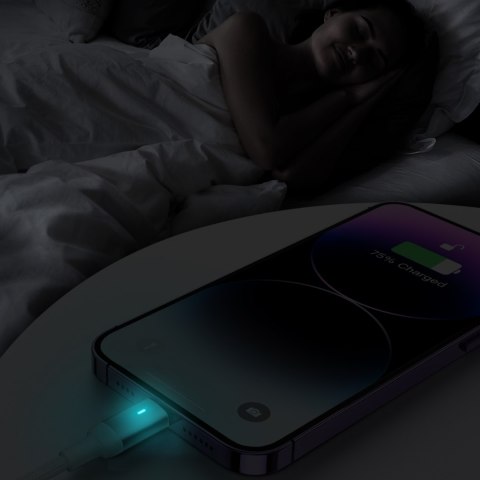 Kabel przewód USB-C - Lightning ze wskaźnikiem LED 20W A10 Series 1.2 m biały