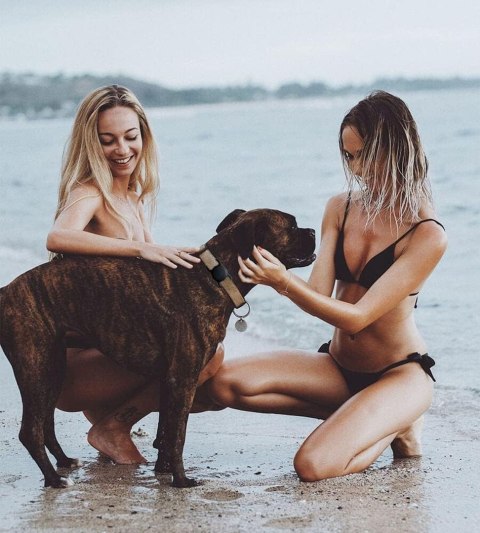 Etui na lokalizator Apple AirTag silikonowe na obrożę psa lub kota - czarne